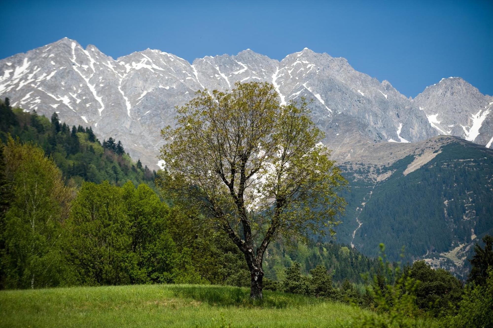 "Innsbruck Moments" Kasperhof Appartements מראה חיצוני תמונה